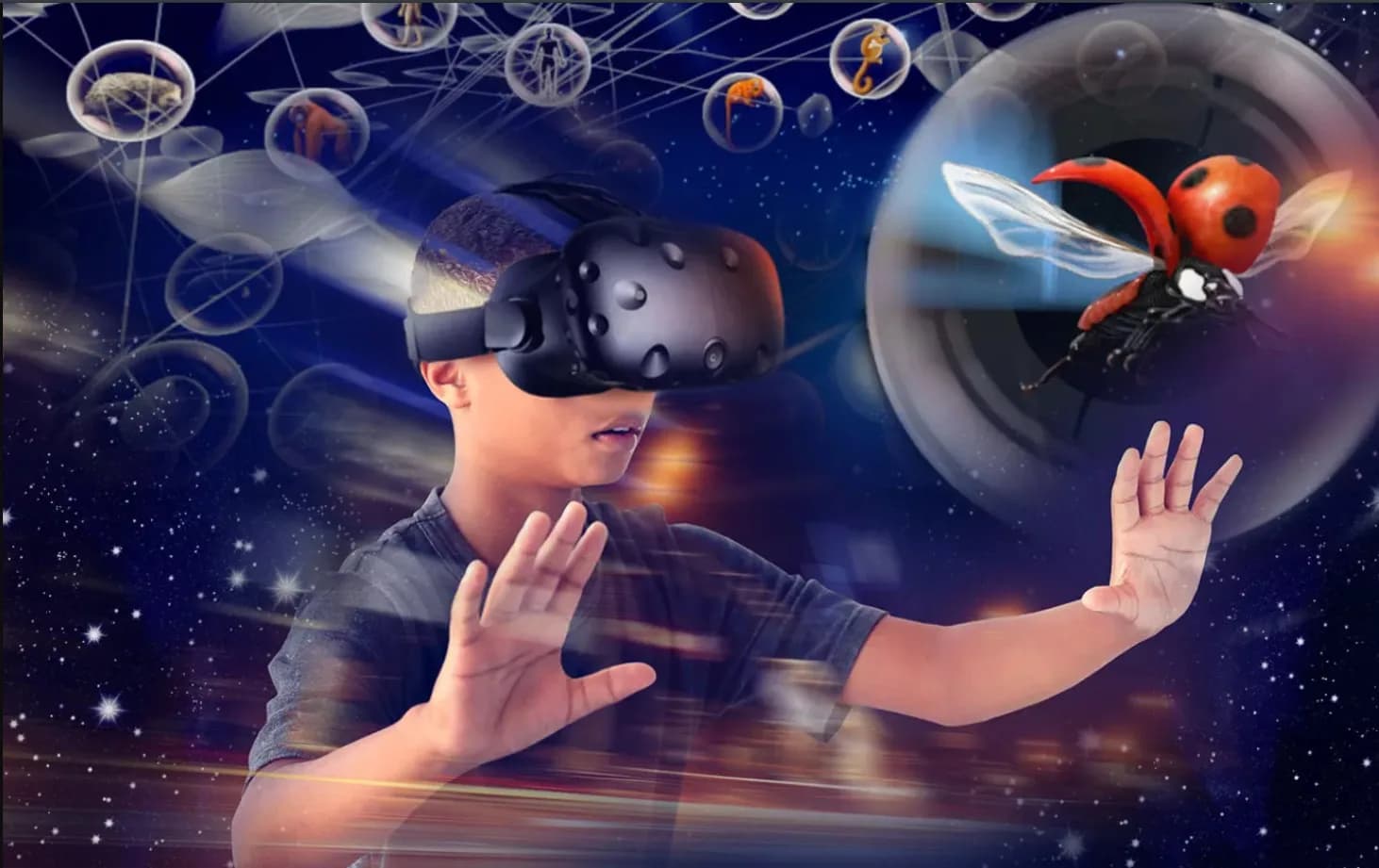 Image 1 : Visite Flash Micro-Folie De la biodiversité à l'immersion VR – Voyage au cœur de l'évolution background