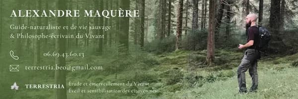 Image 2 : Sortie ornitho background