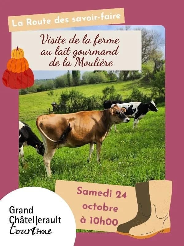 Image 1 : Visite de ferme : Lait gourmand de le Moulière background