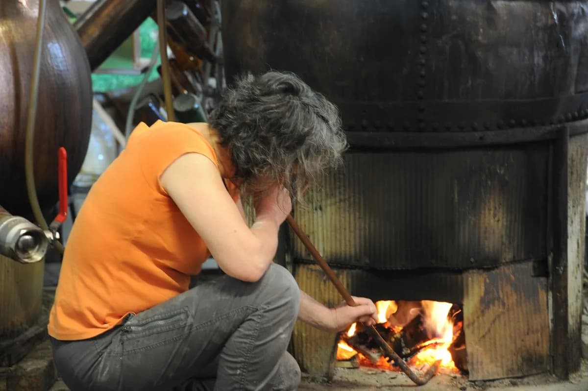 Image 2 : Ici, nos savoir-faire - Visite Brasserie des Anges background