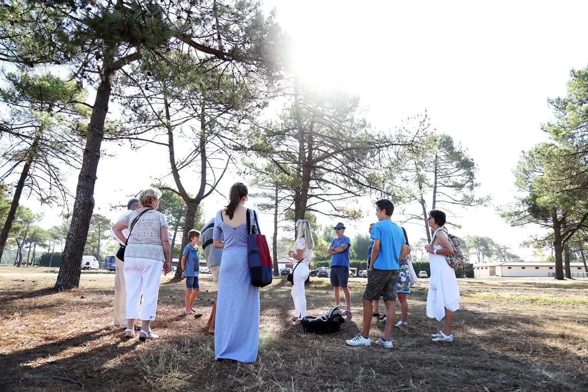 Image 1 : Visite du centre d’entraînement et coulisses de l’hippodrome background