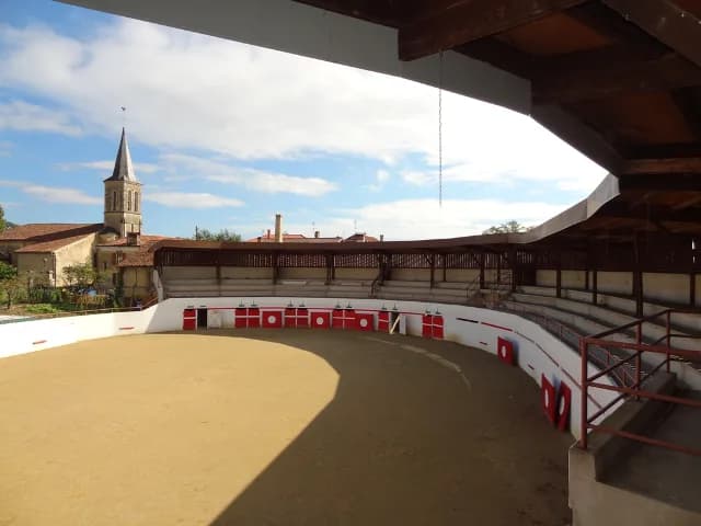 Image 1 : Visite des arènes de Vielle-Tursan background
