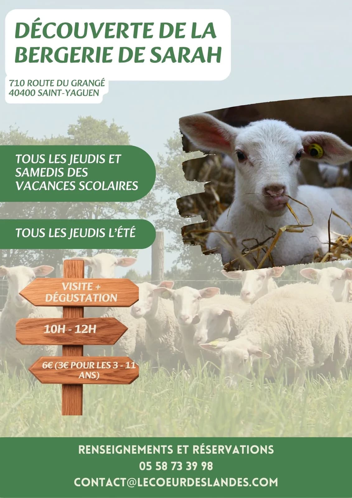 Image 1 : Découverte de la bergerie de Sarah : Visite & Dégustation background