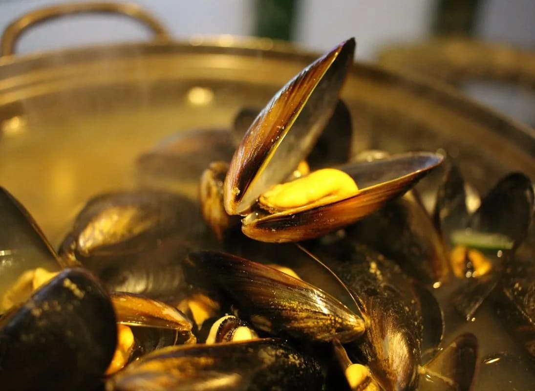 Image 1 : Soirée dansante moules frites background