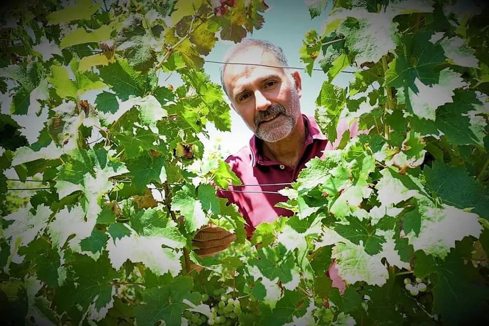 Image 1 : Ici, nos savoir-faire - Visite Château les Maubats background