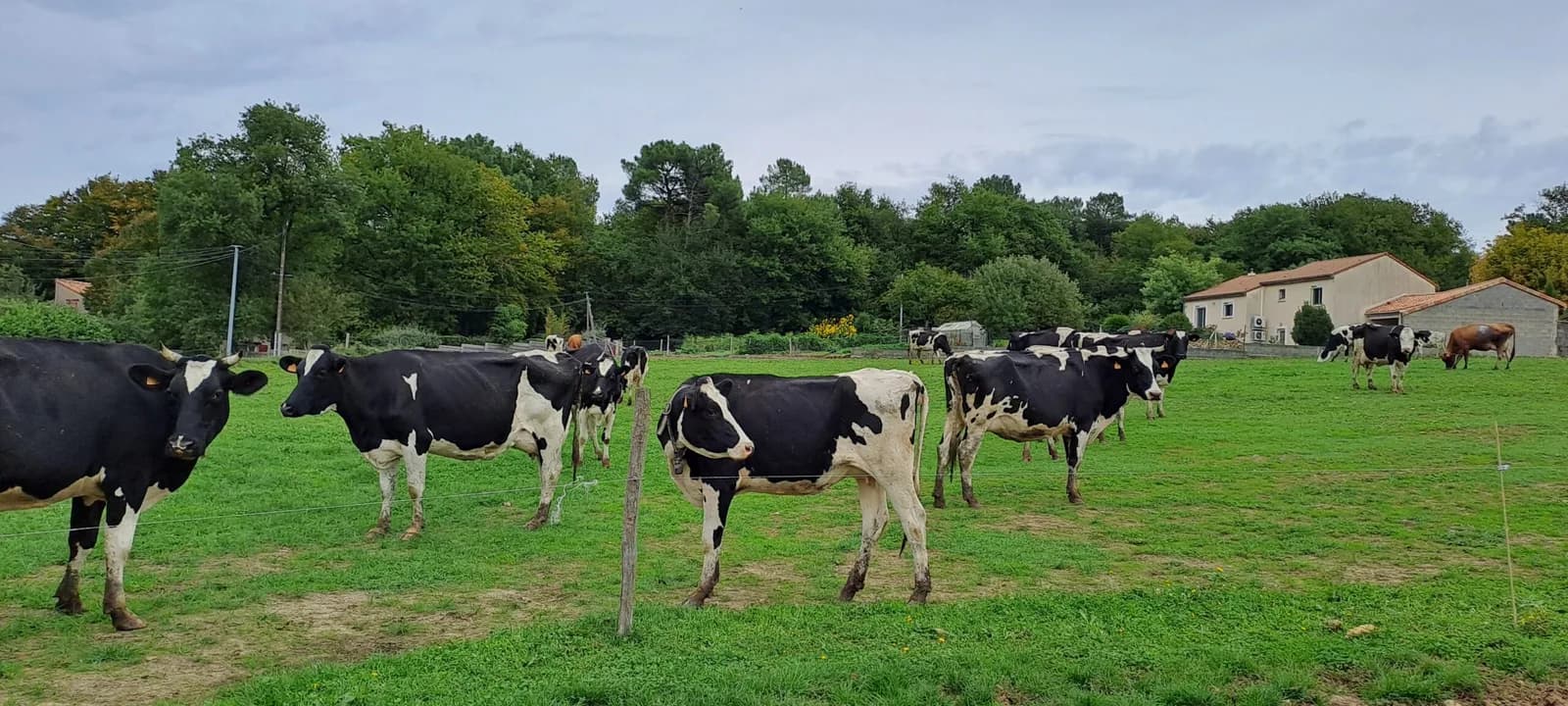 Image 1 : Ici, nos savoir-faire - Visite Ferme Lait Gourmand de la Moulière background