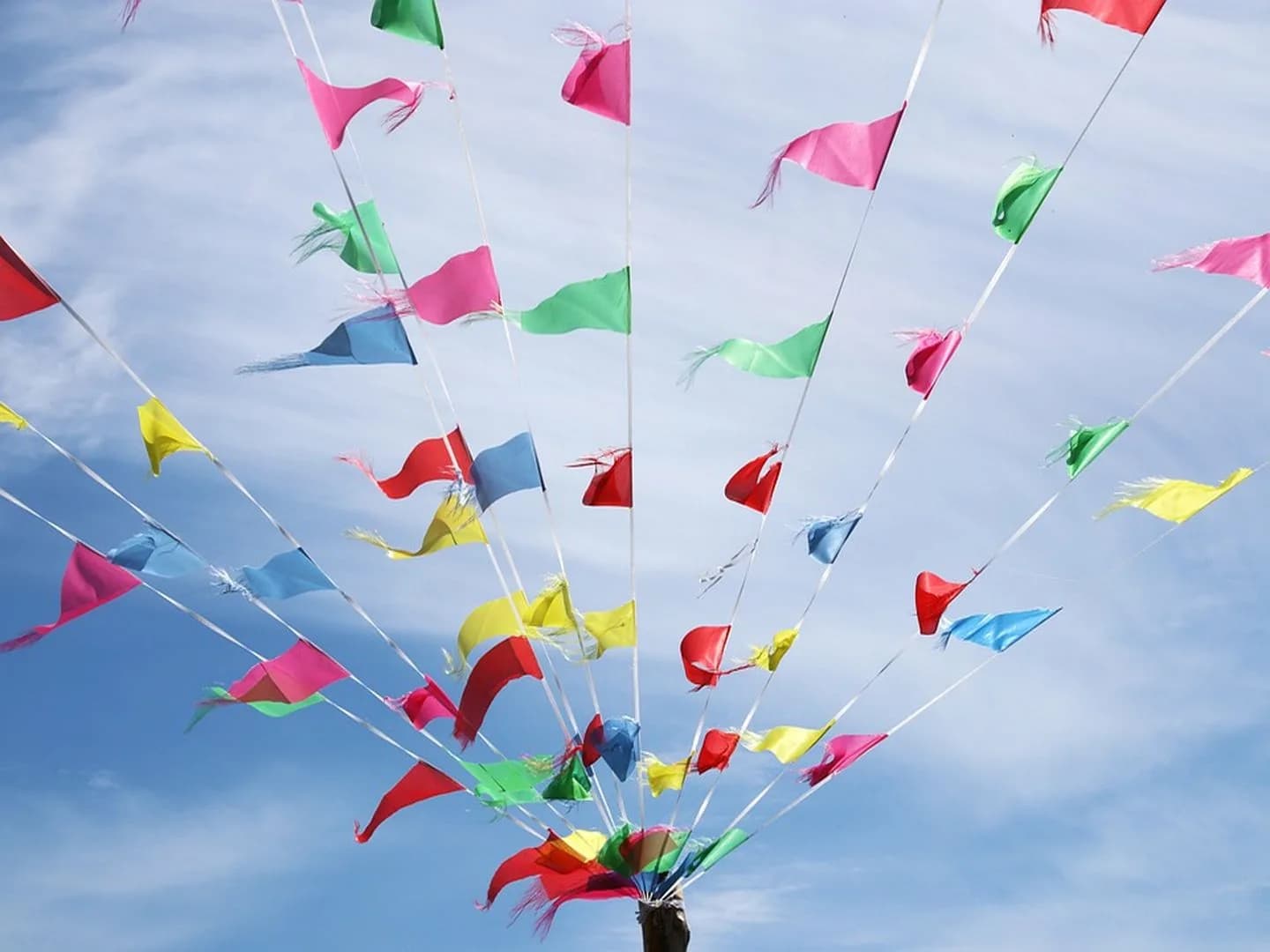 Image 2 : Fêtes locales background