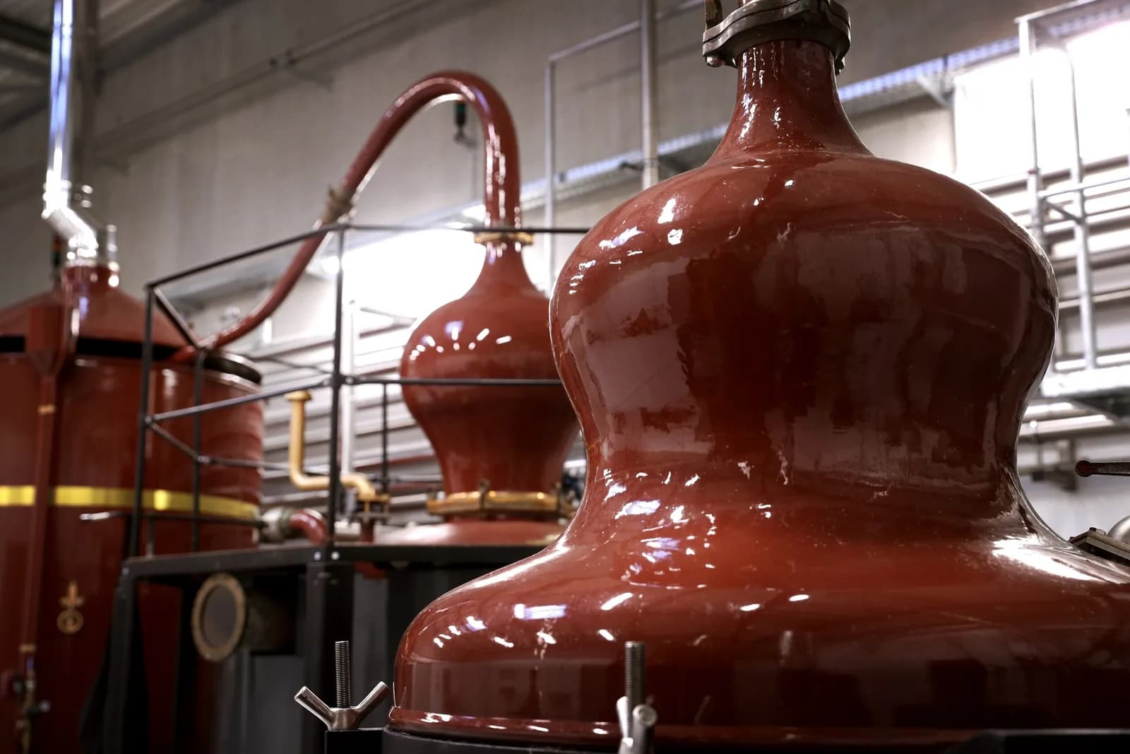 Image 3 : Ici, nos savoir-faire - Visite Brana background