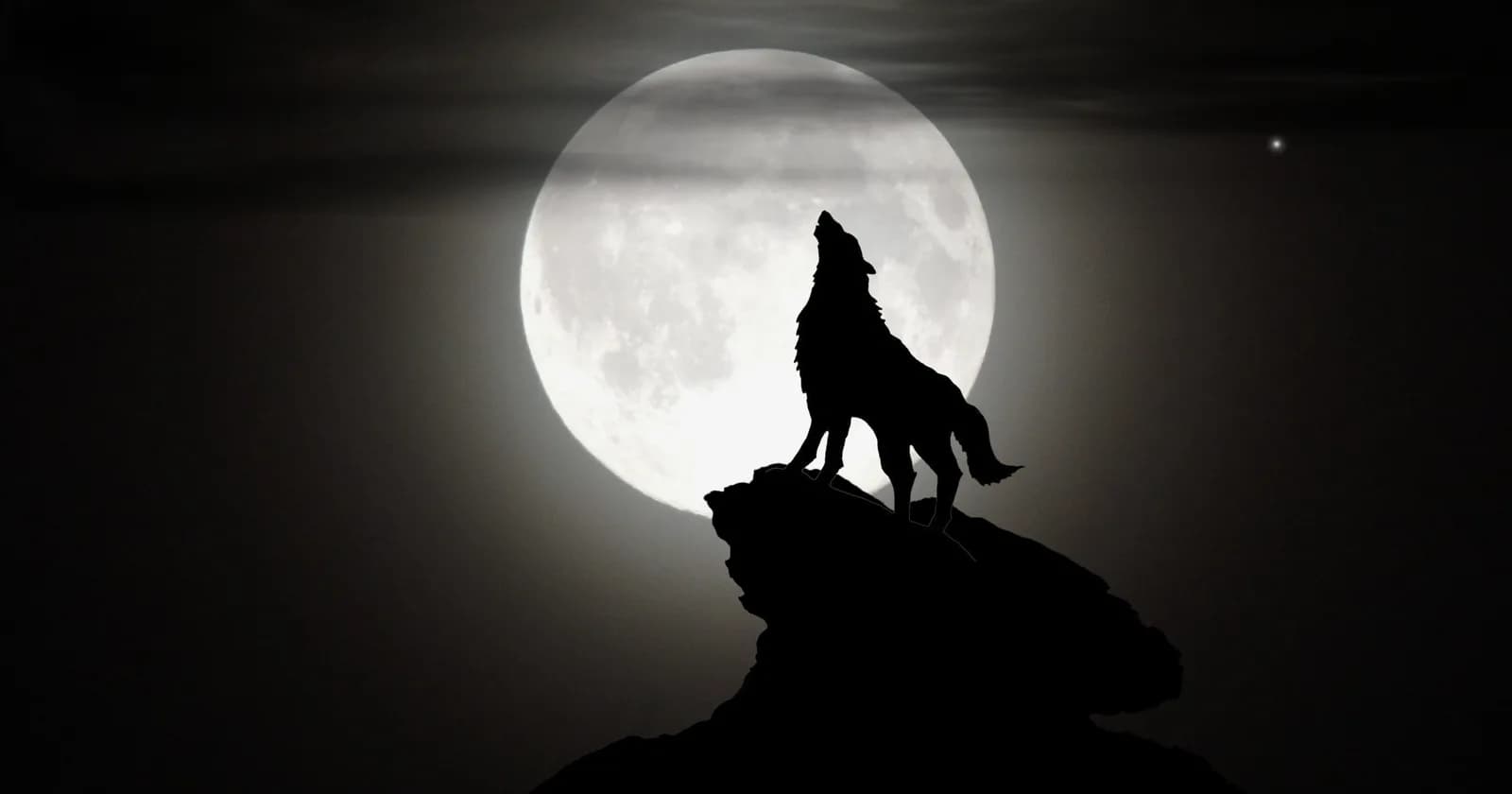 Image 1 : Loup-Garou de Thiercelieux - enfants background