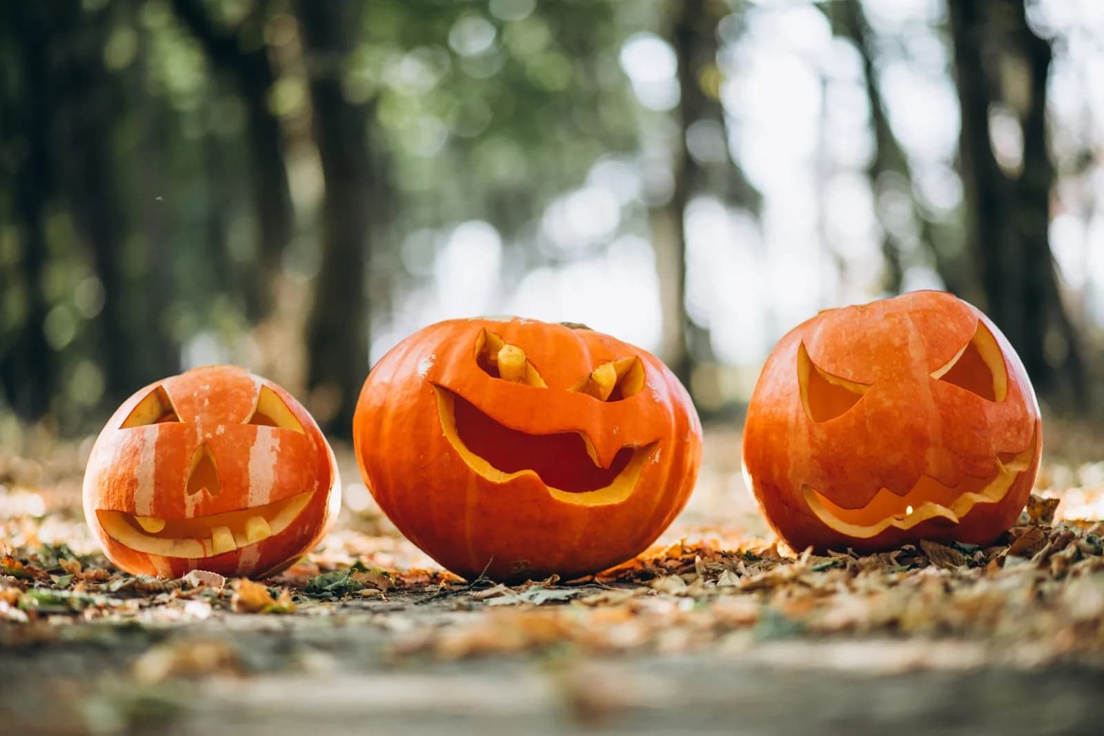 Image 1 : Fête de l'automne background