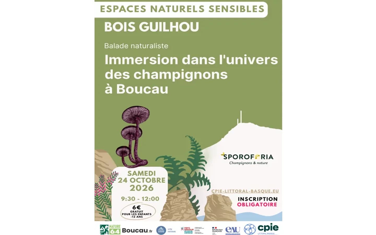 Image 1 : Balade naturaliste : immersion dans l'univers des champignons background