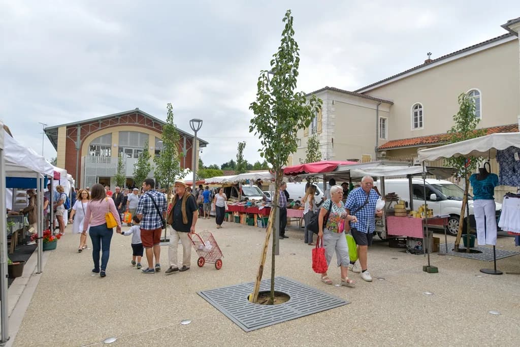 Image 4 : Marché traditionnel et fermier background