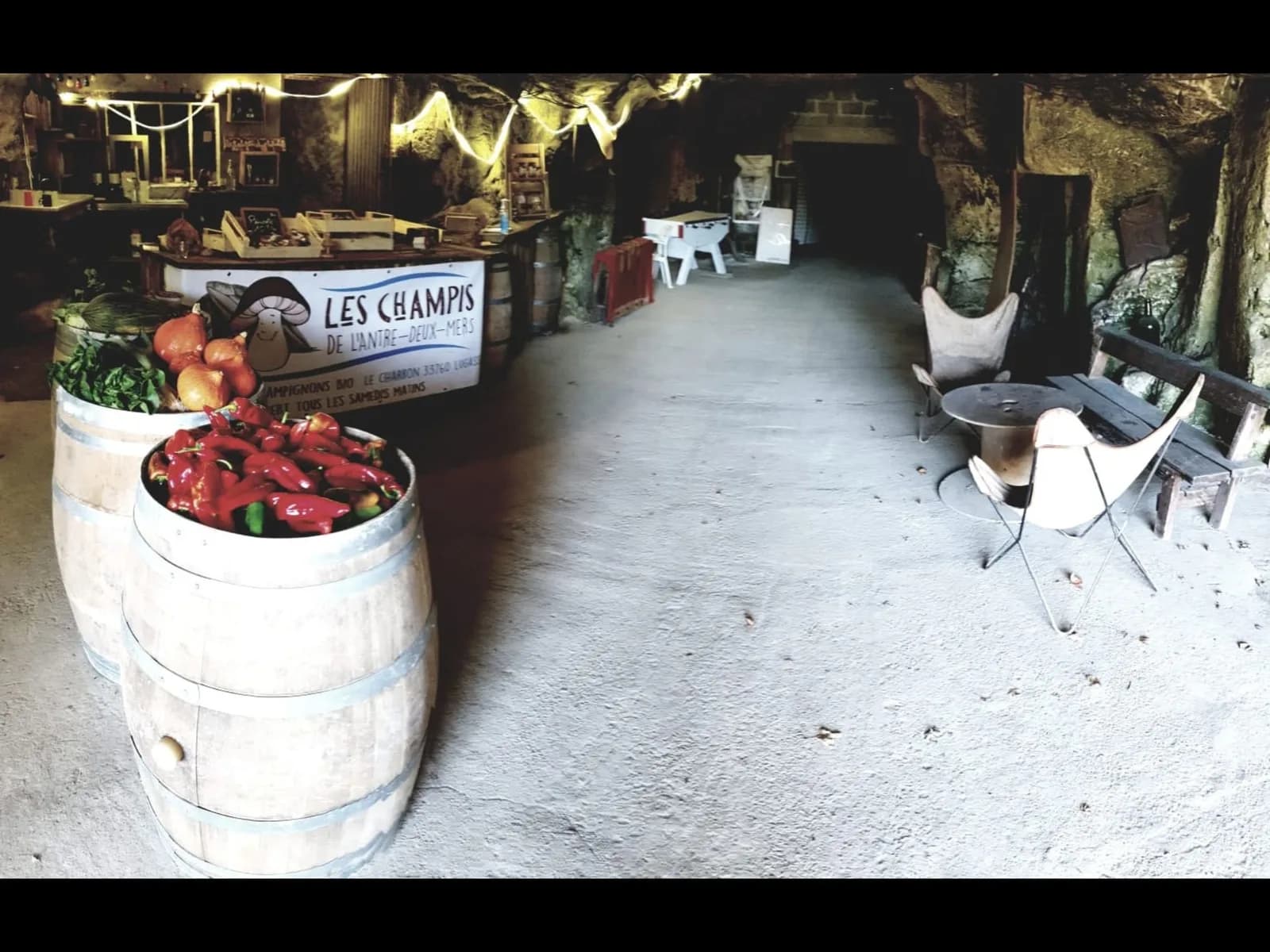 Image 2 : Ici, nos savoir-faire - visite des Champis de l'Antre deux Mers background