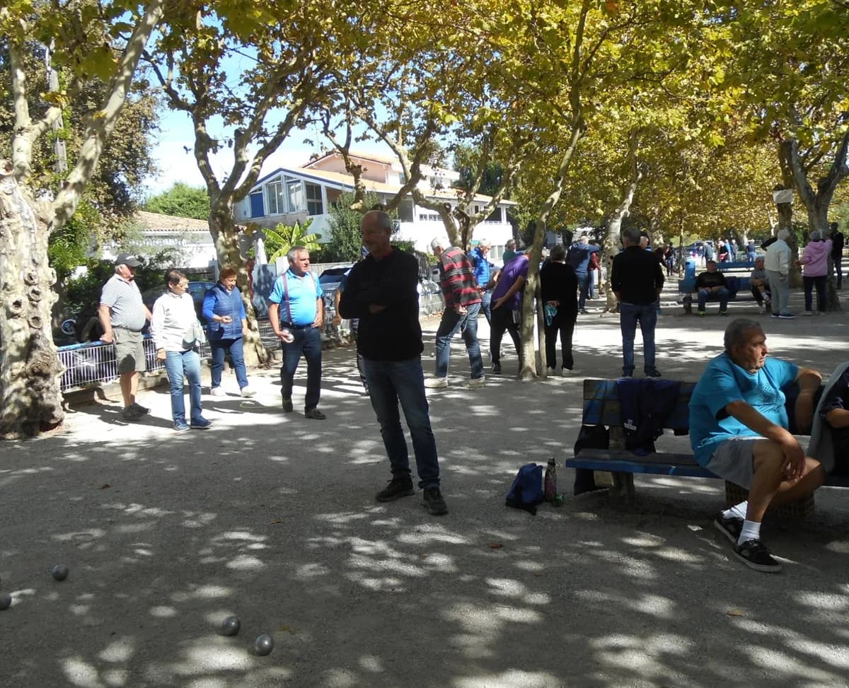 Image 1 : Tournoi de pétanque au pofit du Téléthon background
