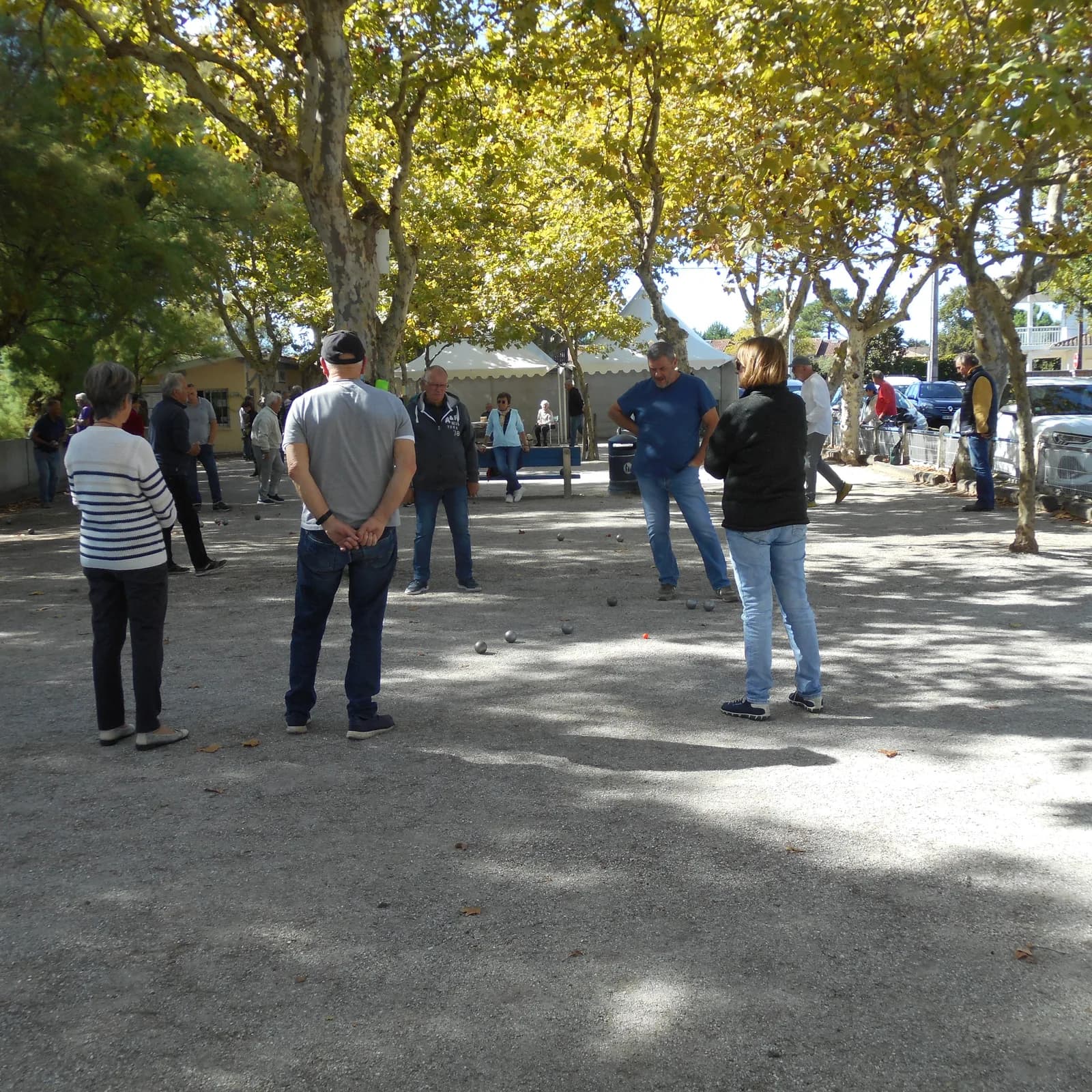 Image 2 : Tournoi de pétanque au pofit du Téléthon background
