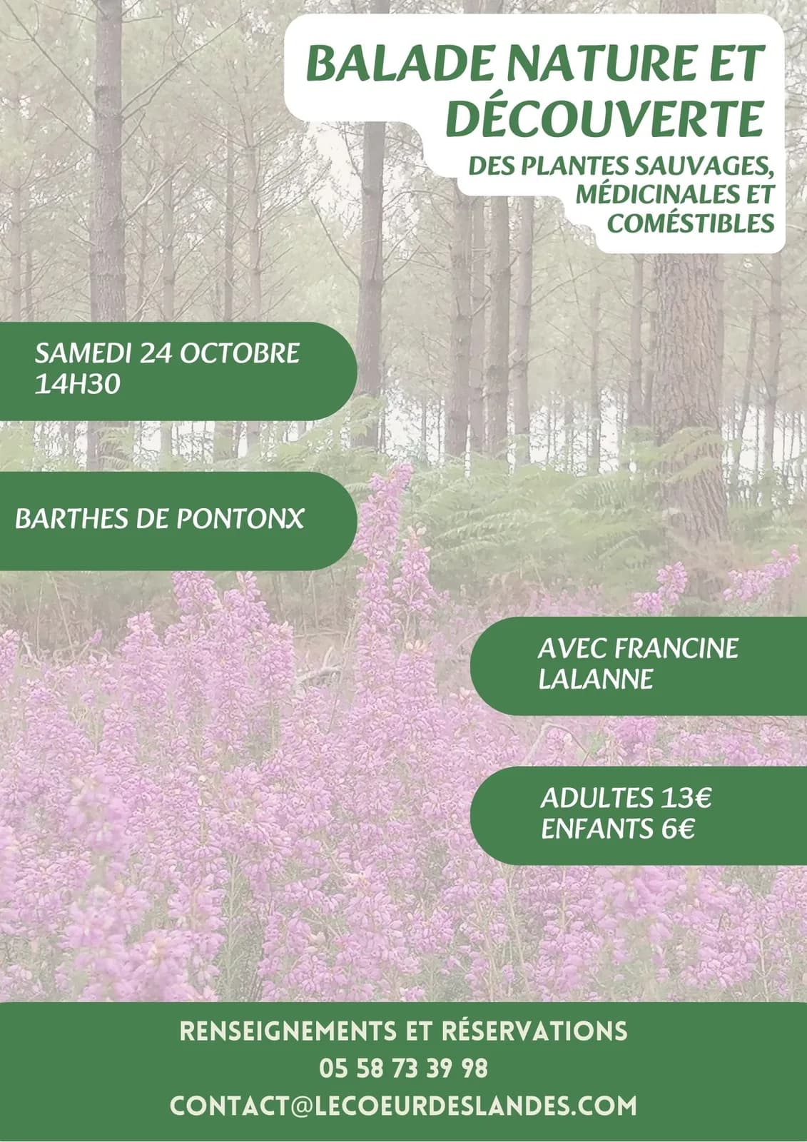Image 1 : A la découverte des plantes sauvages, médicinales et comestibles avec Francine background