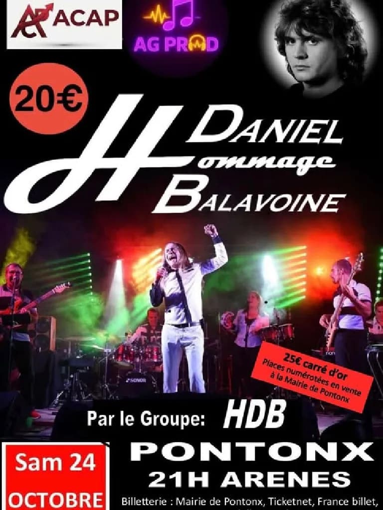 Image 1 : Concert Hommage à Daniel Balavoine background