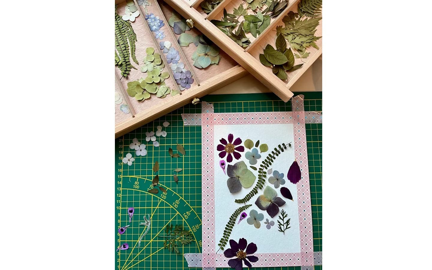 Image 1 : Ateliers Manufacture Pays Basque - Atelier Herbier background