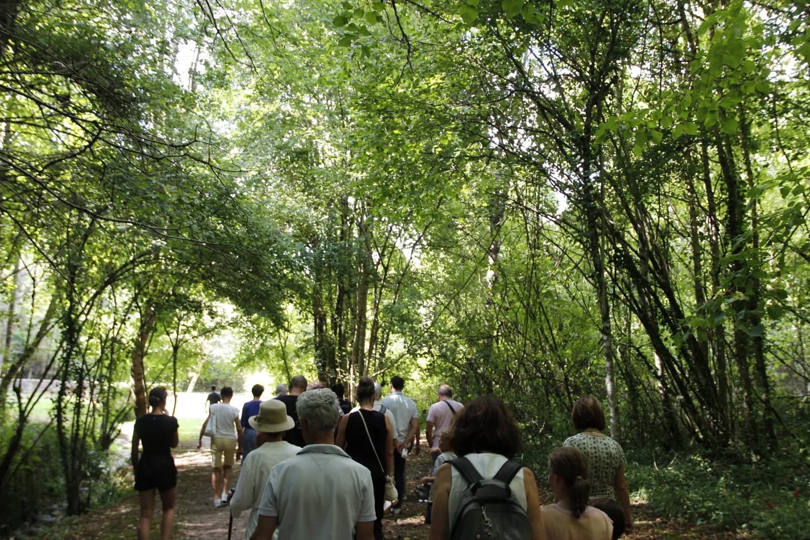 Image 1 : BALADE COMMENTÉE VERS L'ABRI background