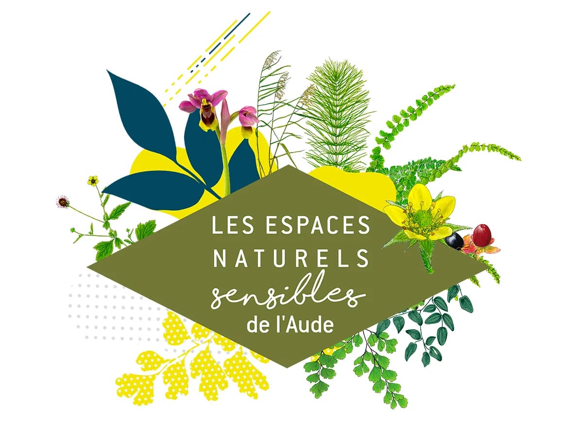 Image 1 : ENS - LA VIE SECRÈTE DES ARBRES : DU LIVRE À LA BALADE background