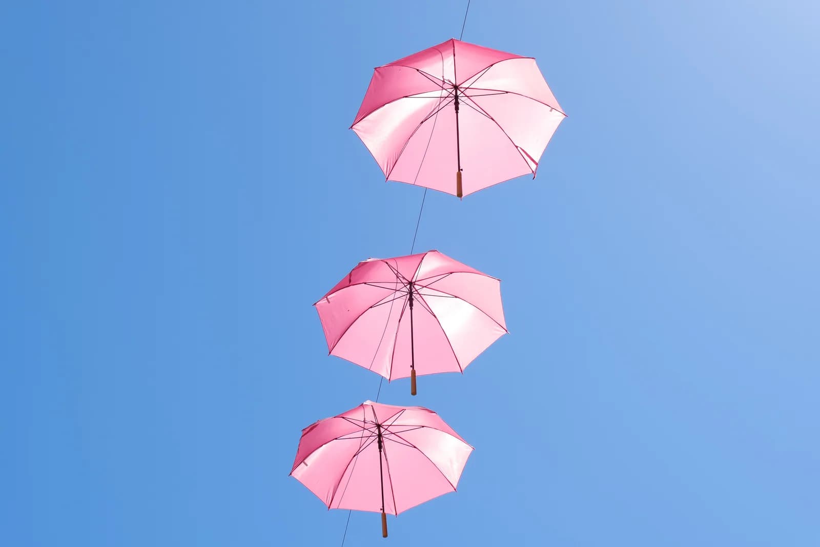 Image 1 : OCTOBRE ROSE background