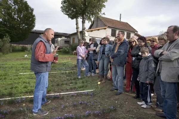 Image 2 : Fête du Safran du Quercy à Cajarc background