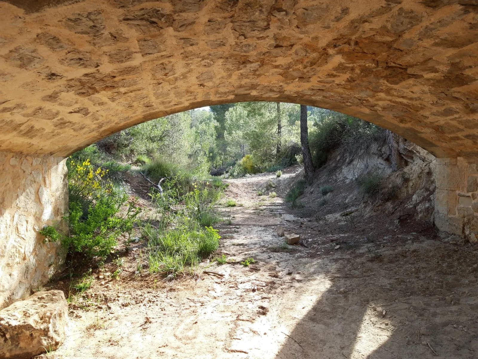 Image 4 : Balade plantes sauvages comestibles et médicinales du Canal du Verdon background
