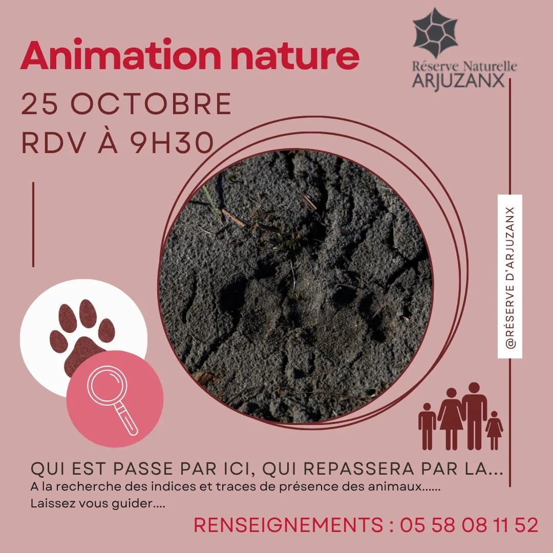 Image 1 : Il est passé par ici, Il repassera par là... background