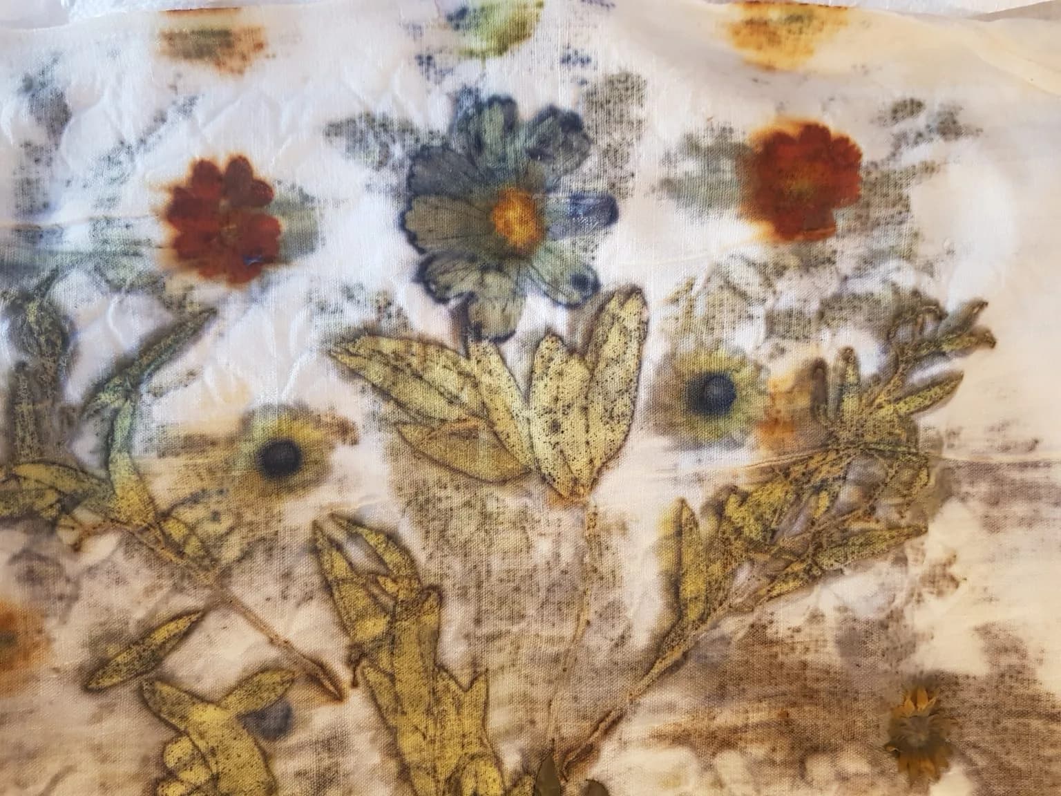 Image 1 : Ecoprint: Stage d’initiation aux couleurs et empreintes végétales sur textile de coton - Stage de 6h background