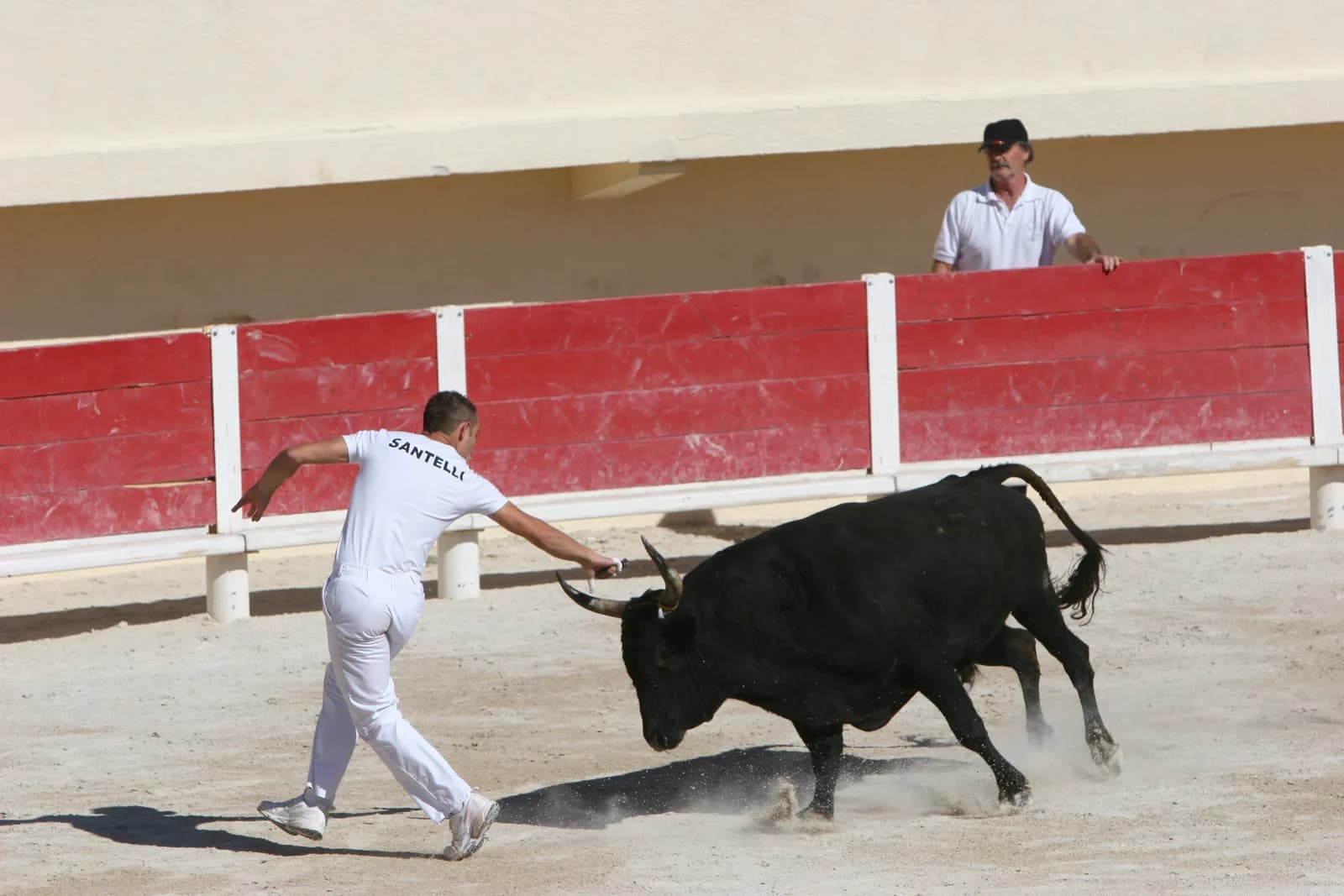 Image 1 : Course camarguaise aux arènes - Trophée des Impériaux Espoirs - Avenir background