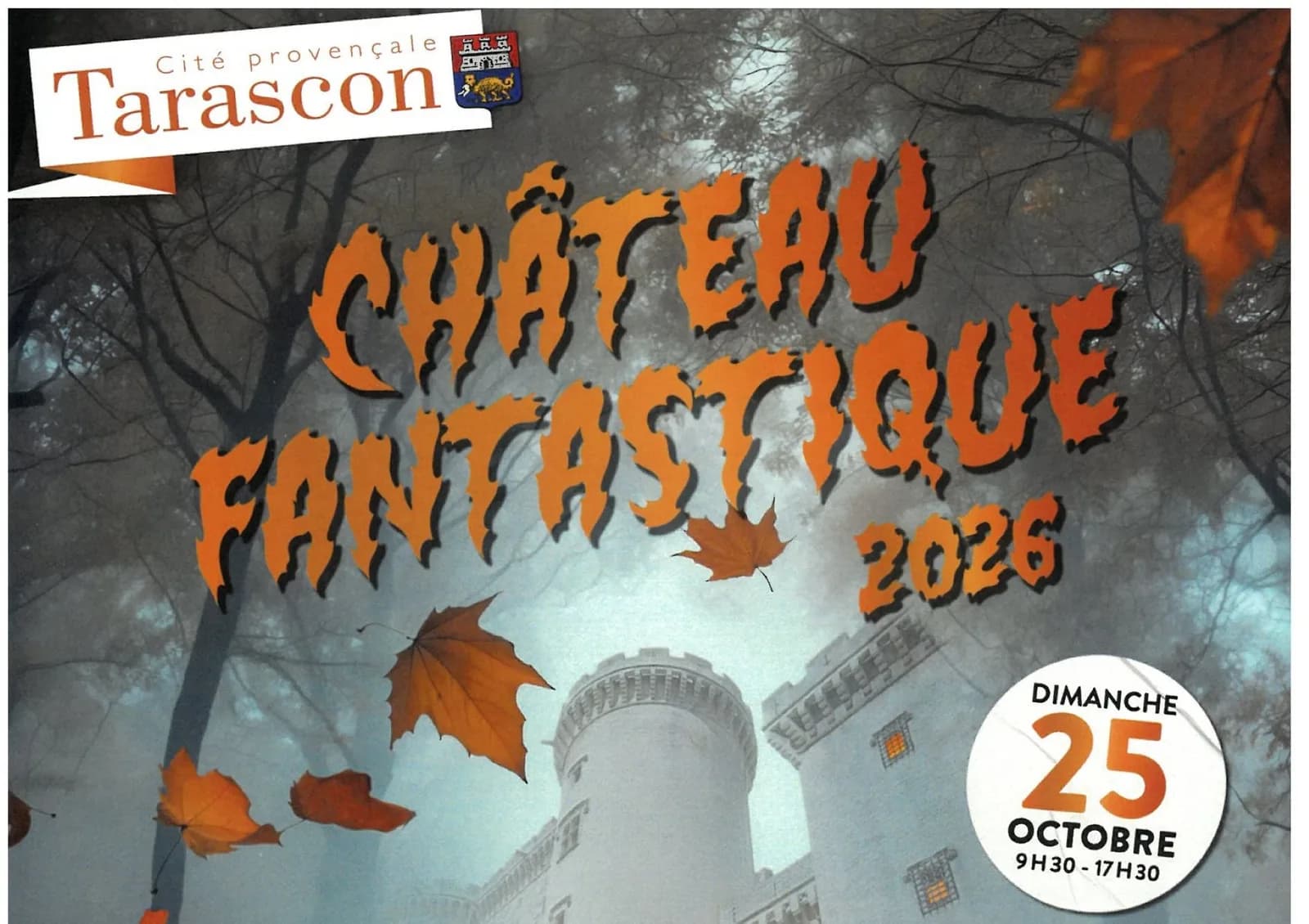 Image 5 : Château Fantastique 2026 ! background