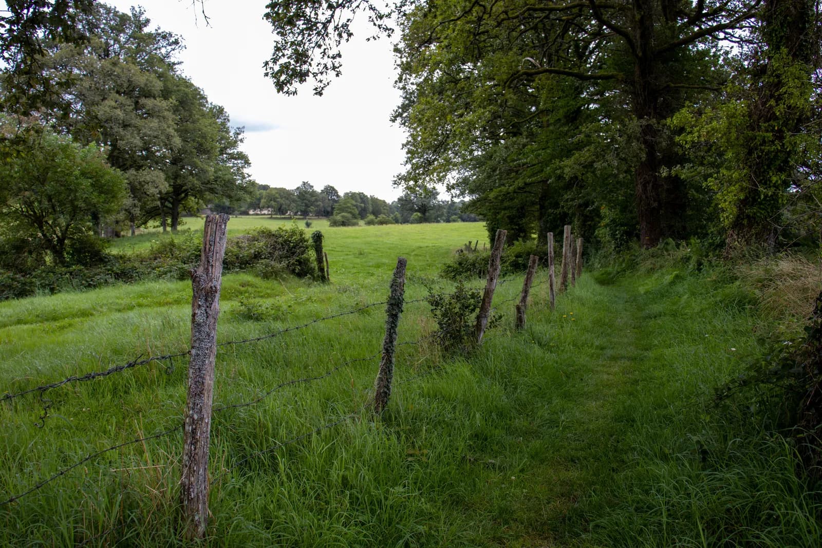 Image 1 : Randonnée douce avec Pique et Pousse en Quercy Blanc background