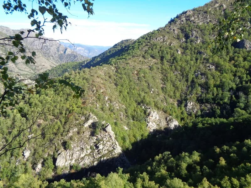 Image 1 : RANDO ACCOMPAGNEE : SENTIER DE CANTAPOC DANS LA VALLEE DE LA ROTJA background