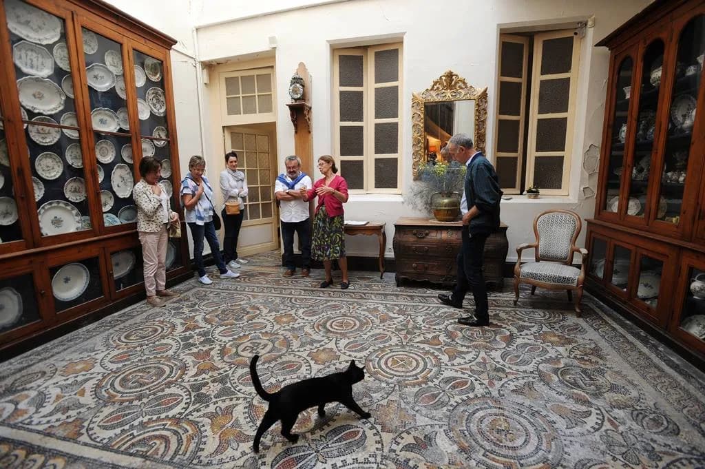 Image 2 : Visite "Sentex et Musée" background