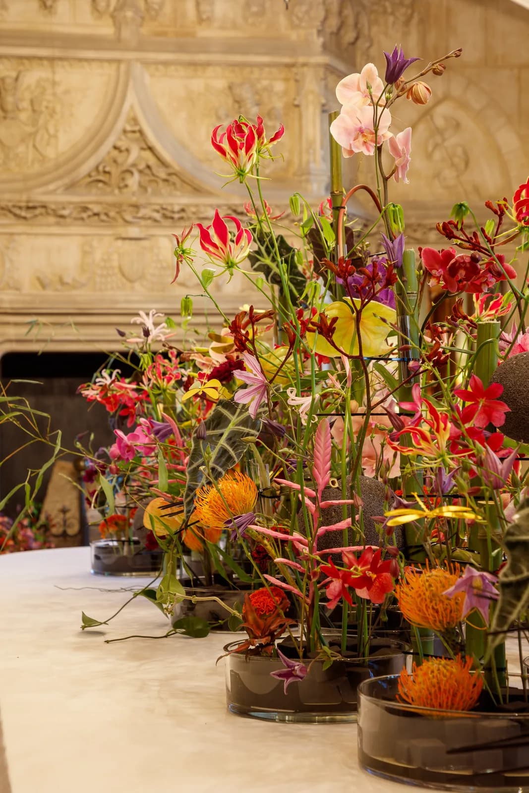 Image 2 : Quand fleurir est un art au Château de Chaumont-sur-Loire background