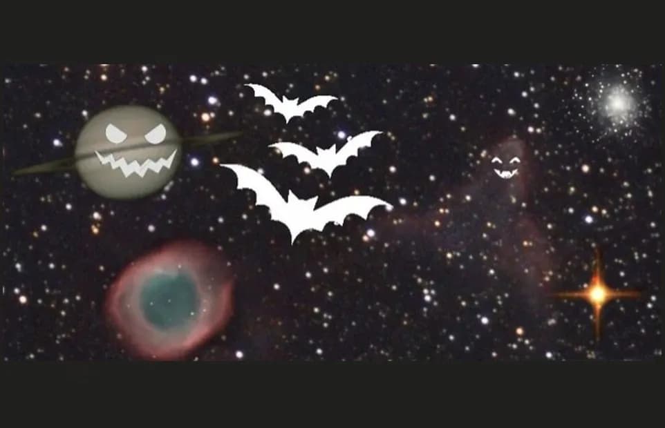 Image 1 : Les nocturnes : Halloween sous les étoiles background