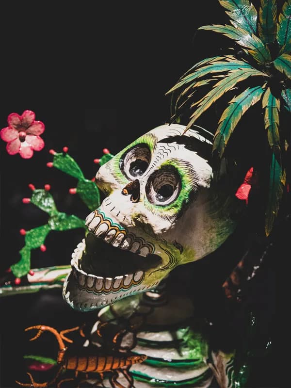 Image 1 : Visite individuelle commentée - Spécial Día de los Muertos background
