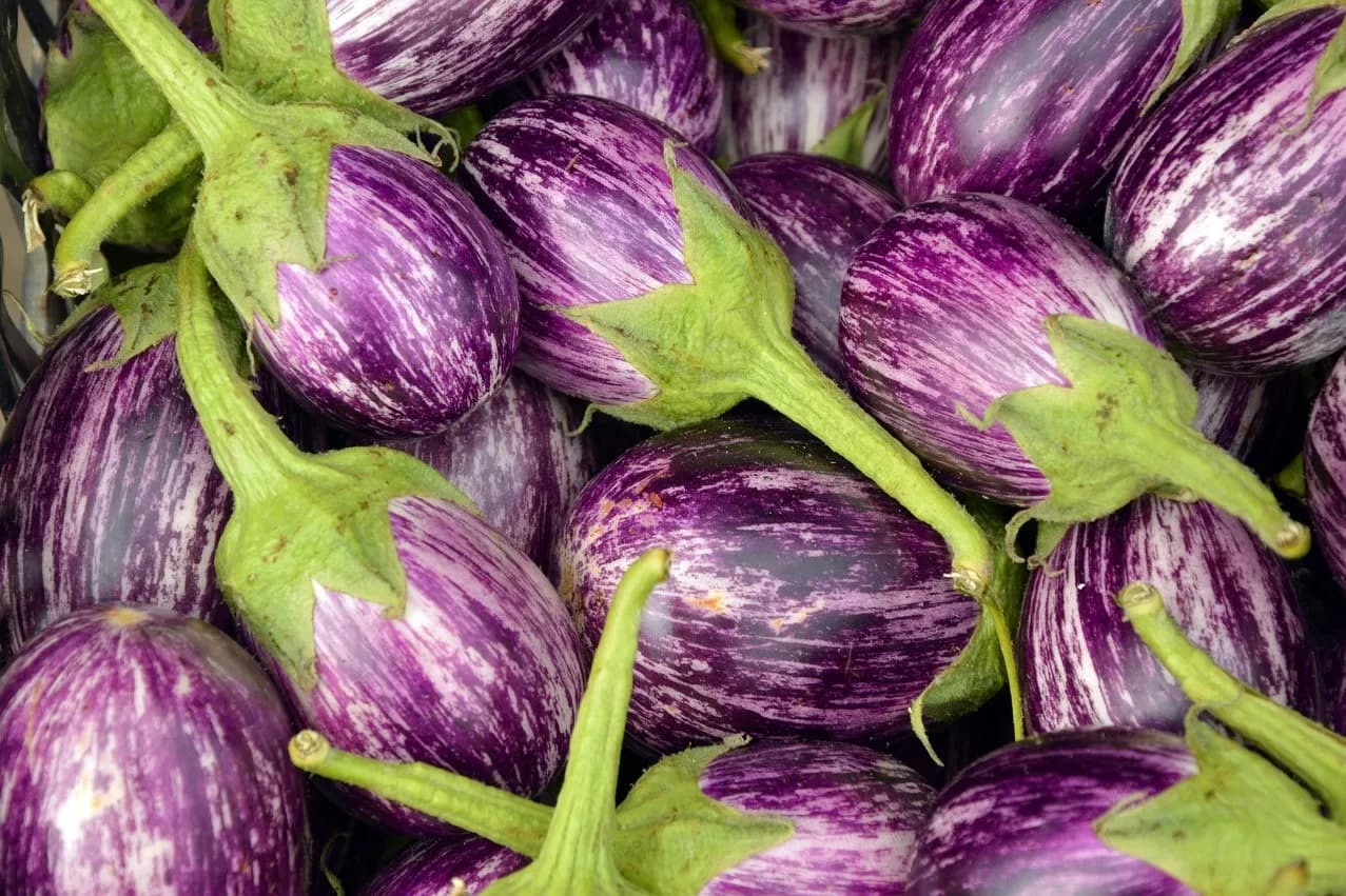 Image 1 : Marché des Longes - Limoges background