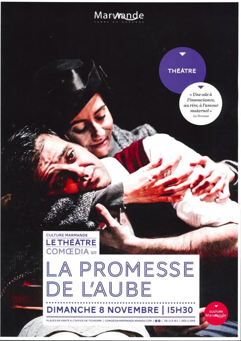 Image 2 : Théâtre - LA PROMESSE DE L’AUBE - Tigran Mekhitarian background