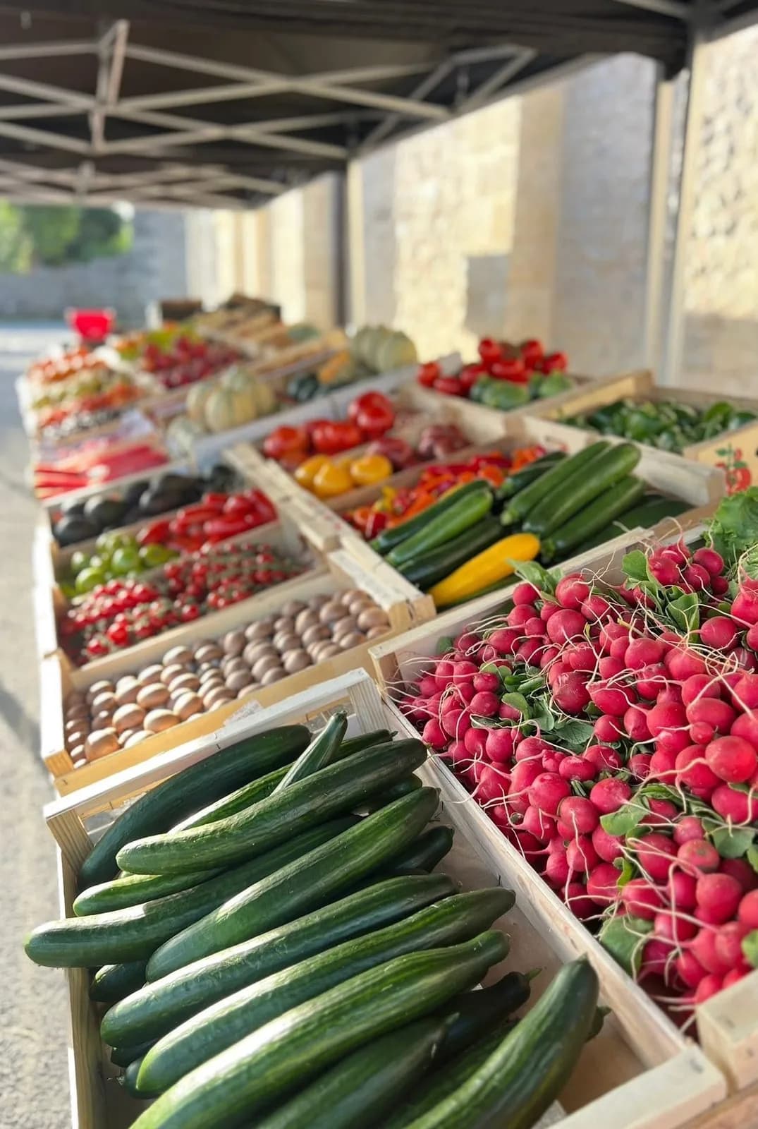 Image 1 : Marché dominical background