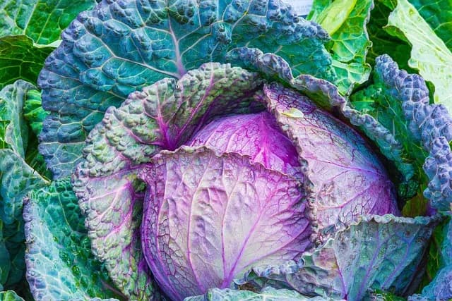 Image 1 : Marché - Le Vigen background