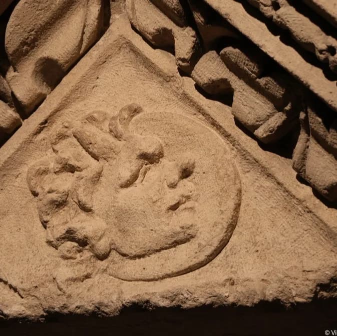 Image 1 : Visite guidée : " Le musée du bout du nez ! " background